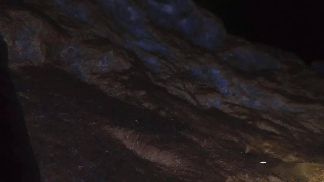 小猪佩奇玩躲避球2
